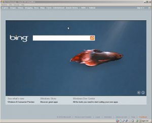 On Windows RT, your only real browser choice will be Internet Explorer 10.